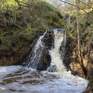 Meet your Posher, Max